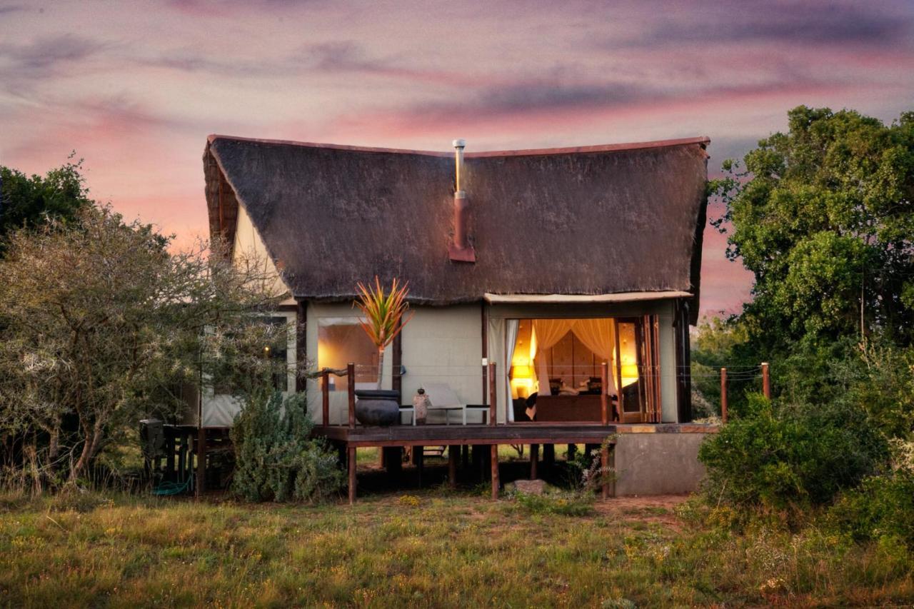 Bush Lodge - Амакала-Ґейм-Резерв Екстер'єр фото