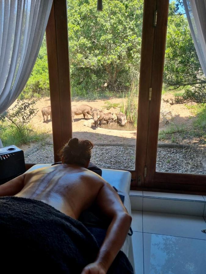Bush Lodge - Амакала-Ґейм-Резерв Екстер'єр фото
